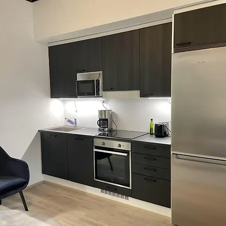Apartment Bright Loft With Glazed Balcony Tampere